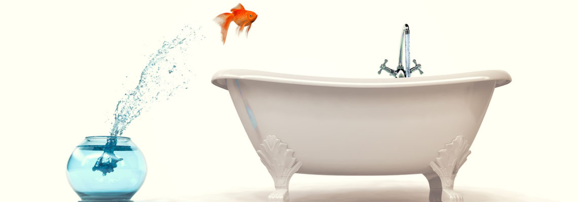 Brands take control of the ever evolving advertising and creative production landscape