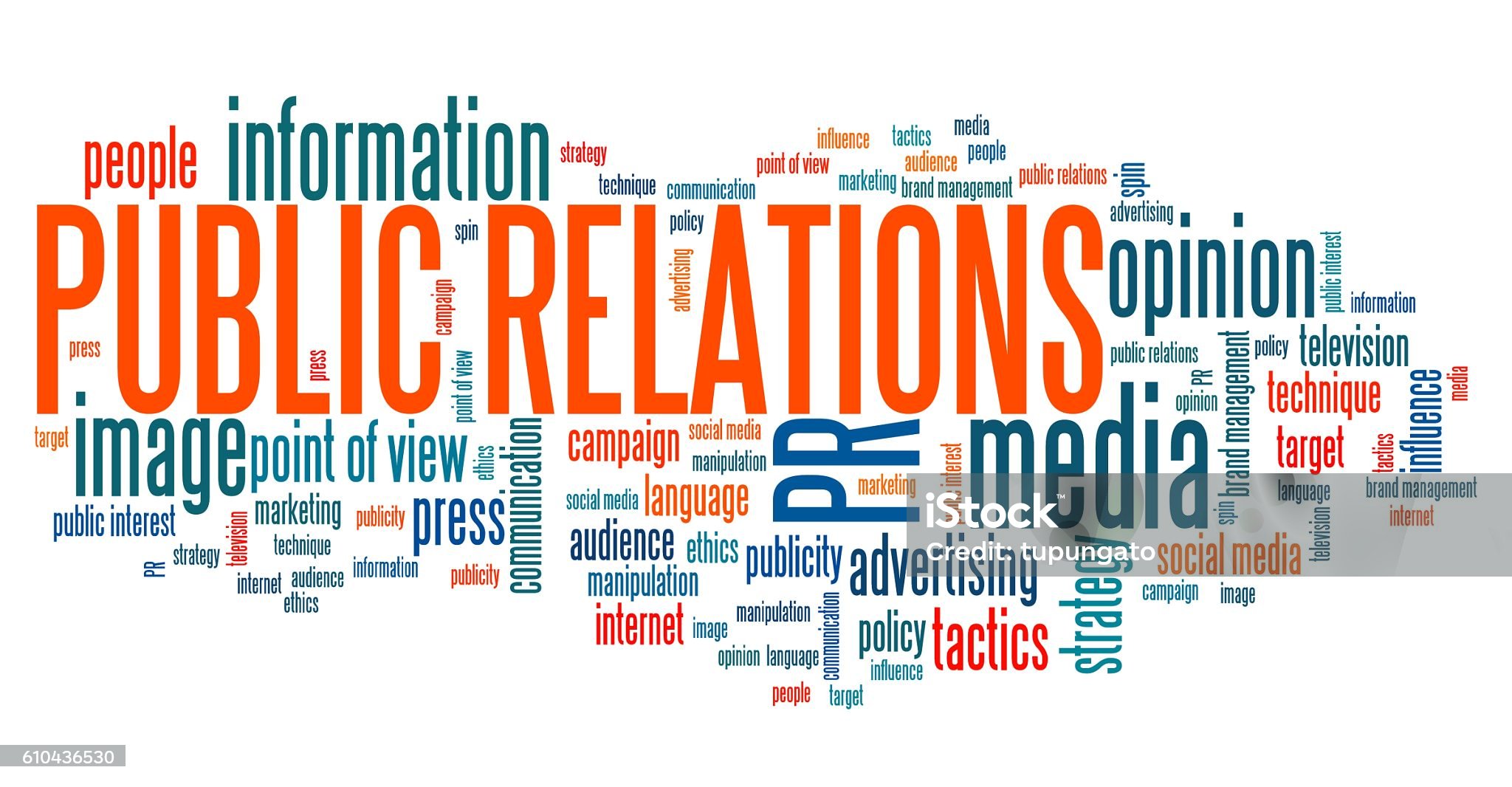 PR Officer analyzing public affairs data for strategic decision making