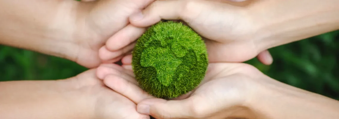 Sustainable media