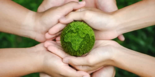 Sustainable media